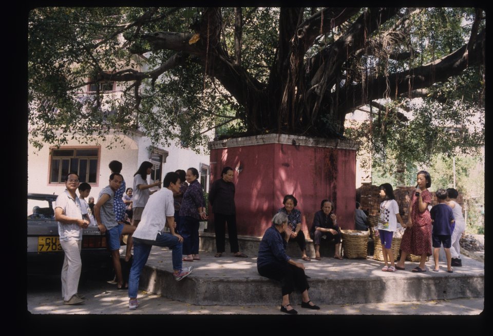 The banyan tree was the true centre of the village.