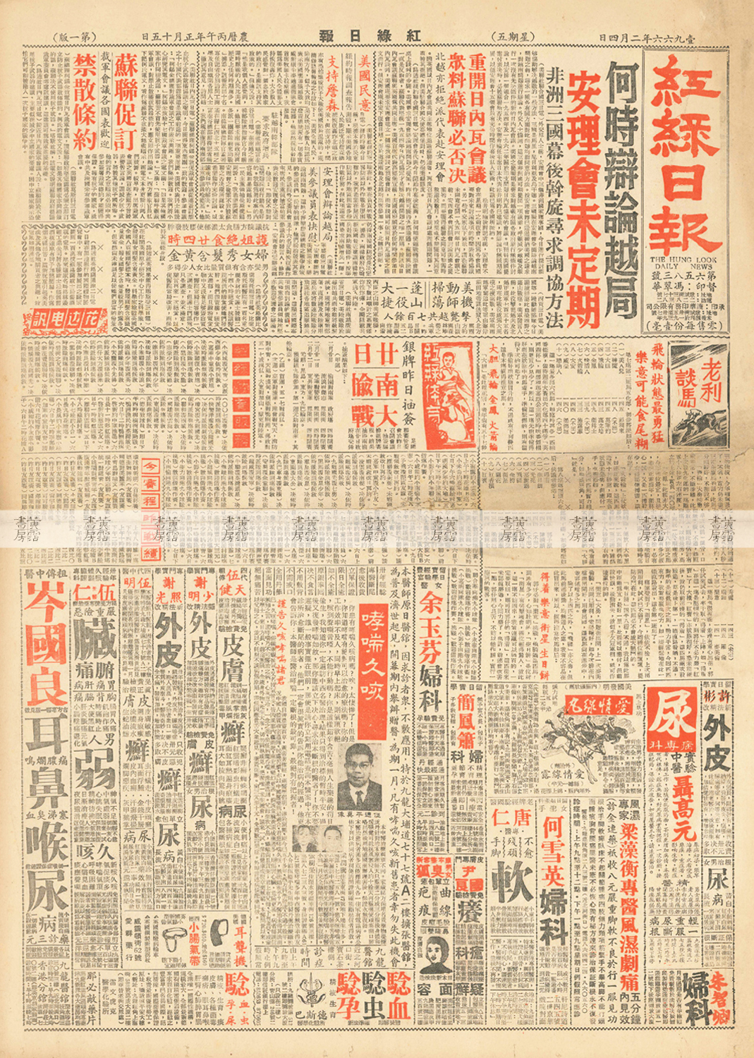 《紅綠日報》 1966年2月4日 