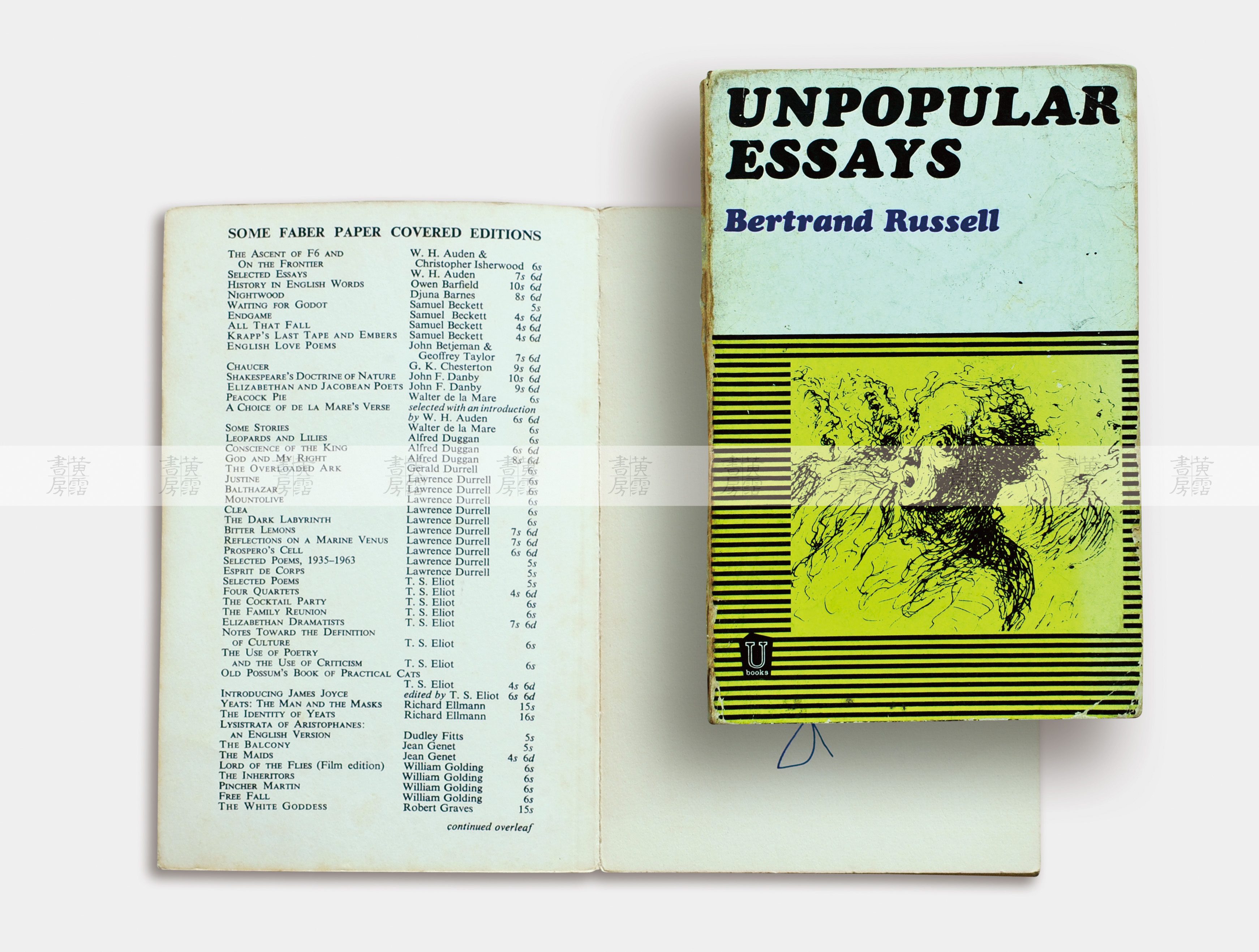 文藝與思潮：Unpopular Essays