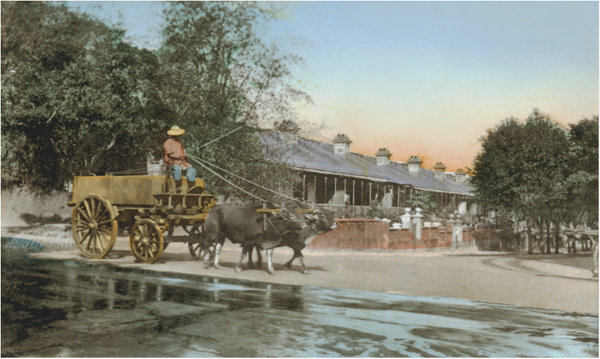 清洗街道 - 1910年代